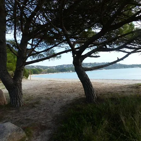 With 2 In Porto-vecchio, With Pool Access, Terrace And Apartment *