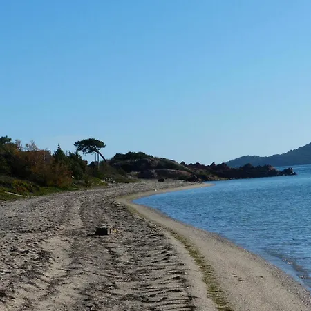 With 2 In Porto-vecchio, With Pool Access, Terrace And Porto-Vecchio (Corsica)