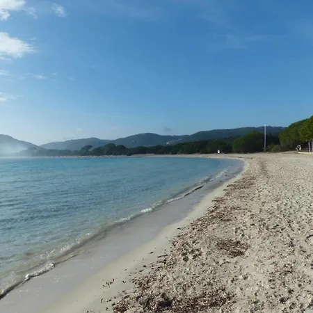 With 2 In Porto-vecchio, With Pool Access, Terrace And Apartment Porto-Vecchio (Corsica)