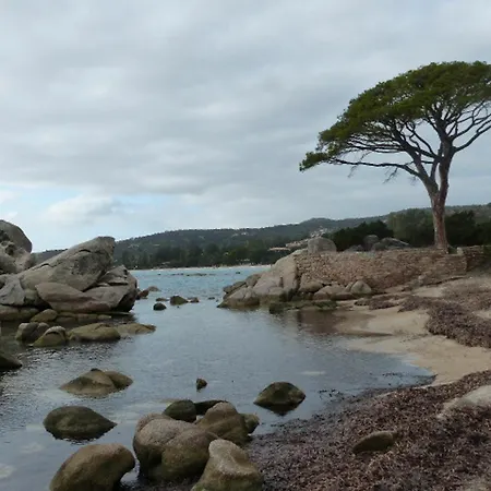 With 2 In Porto-vecchio, With Pool Access, Terrace And Apartment