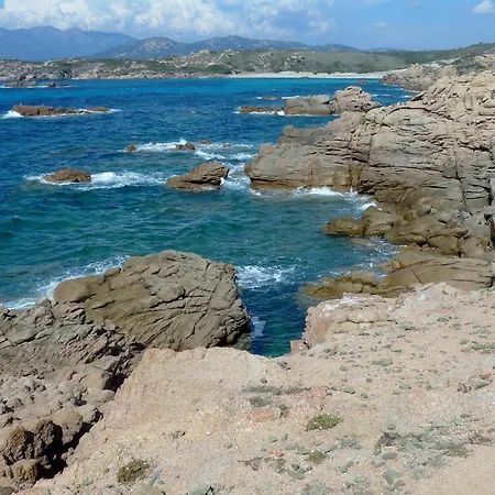 With 2 In Porto-vecchio, With Pool Access, Terrace And Apartment